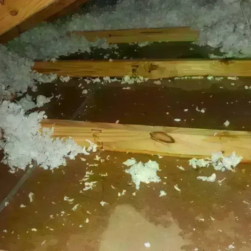 Best Attic Water Damage Service in Buckner, KY